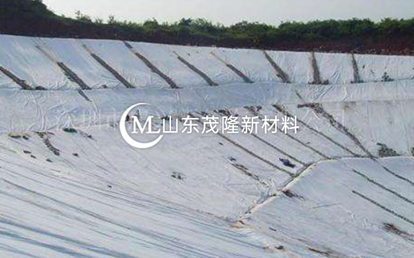 《東平湖生態(tài)防護林建設項目》復合土工膜施工