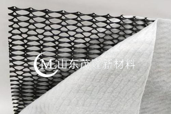 復(fù)合排水網(wǎng)廠家/三維復(fù)合排水網(wǎng)廠家 第4張