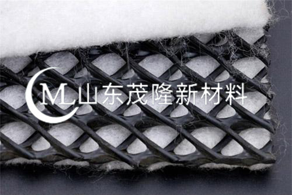 土工復合排水網/三維復合土工排水網  第5張