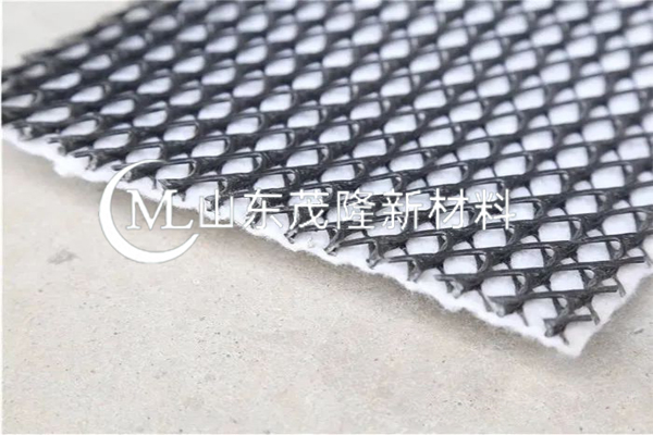 三維復(fù)合排水網(wǎng) 第2張