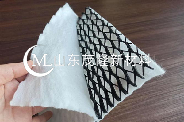 三維復(fù)合排水網(wǎng) 第3張