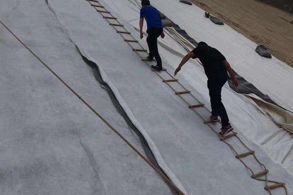 詳談排水網(wǎng)在垃圾填埋場(chǎng)中的應(yīng)用 第1張