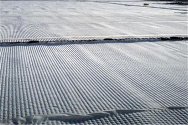 自粘式排水板：為您解析其概念、特點與應(yīng)用  第2張